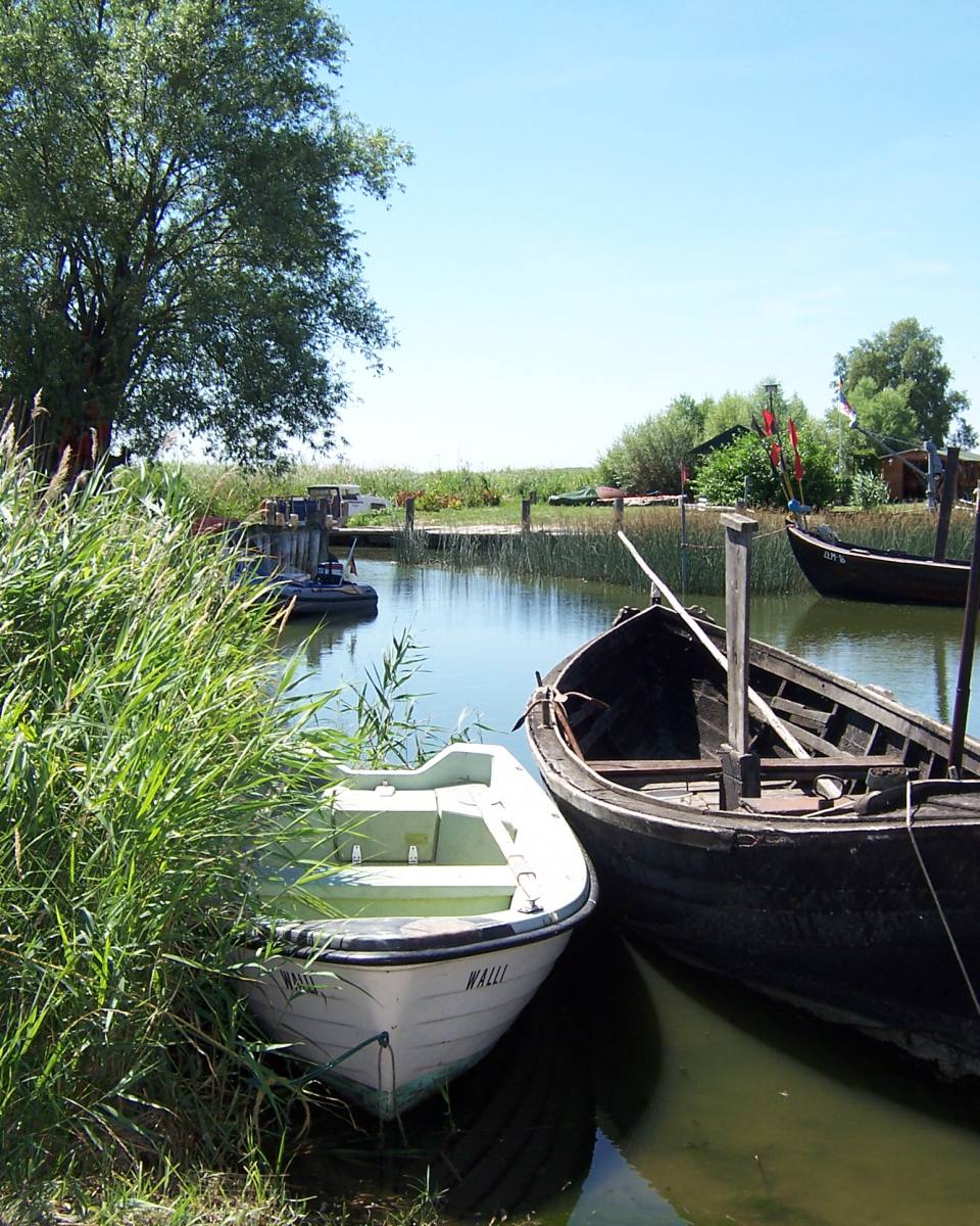 Fischerboote am Achterwasser auf Usedom