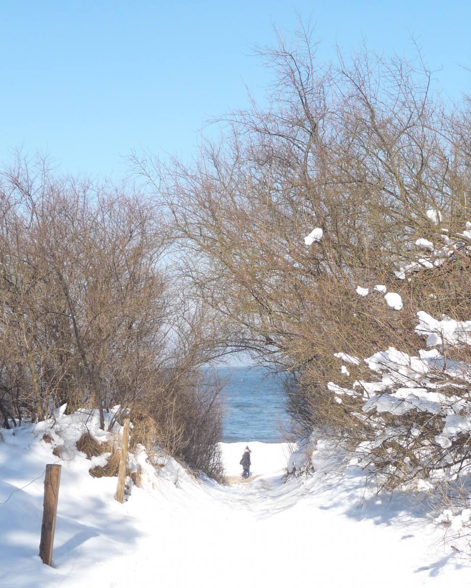 Verschneiter Strandzugang in Zinnowitz